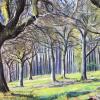 wood-scene