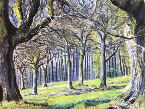 wood-scene